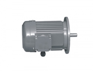 晟邦減速機(jī) 標(biāo)準(zhǔn)ICE三相馬達(dá)